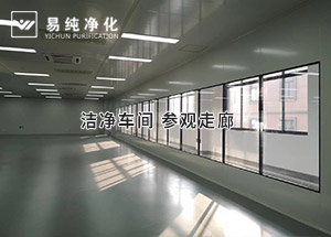 潔凈參觀走廊這樣設計大氣不？